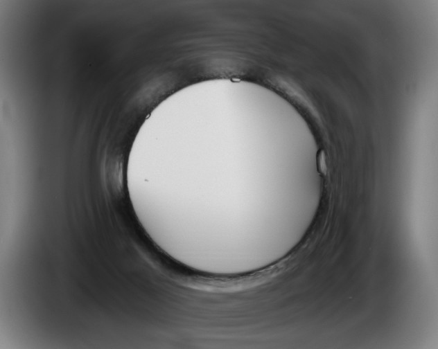 X0000086250021200704191852