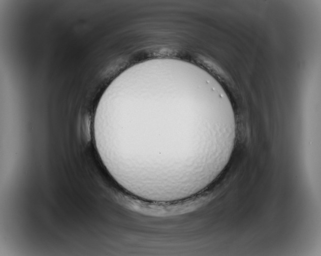 X0000086250022200704191852