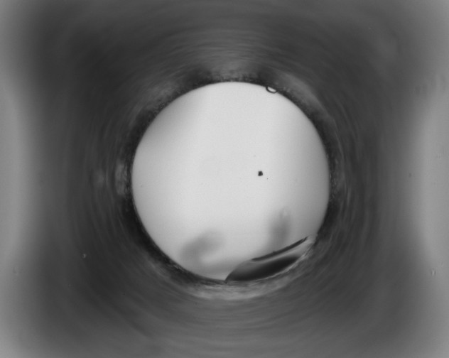 X0000086250025200704191852