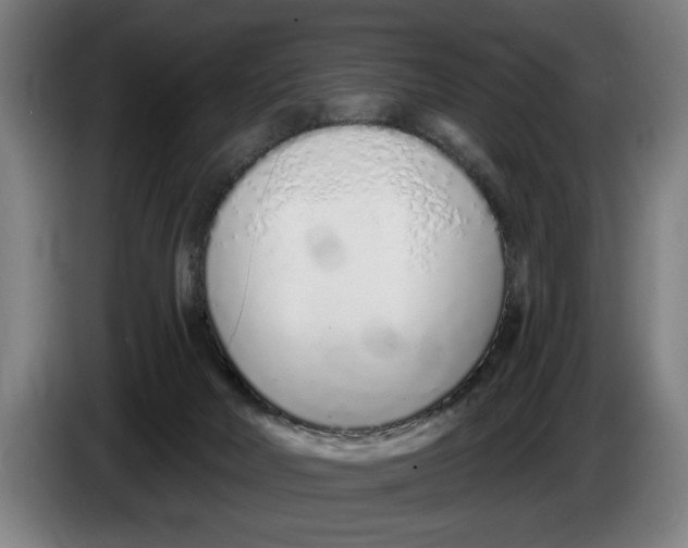 X0000086250026200704191852
