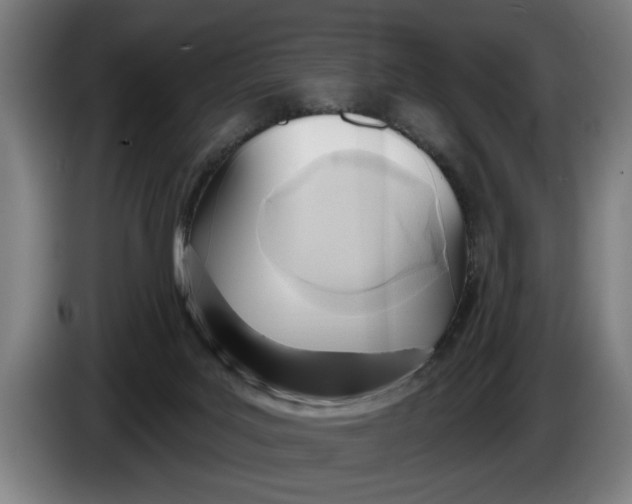 X0000086250027200704191852