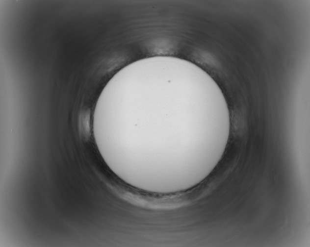 X0000086250028200704191852