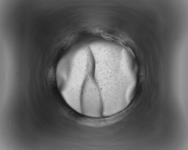 X0000086250029200704191852