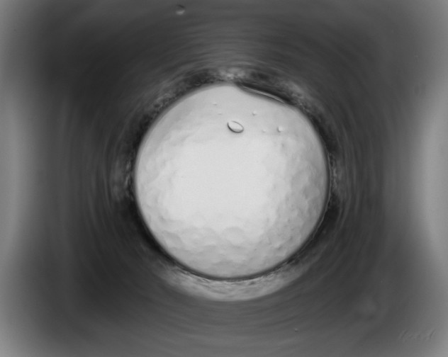X0000086250030200704191852