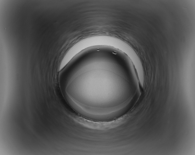 X0000086250035200704191852