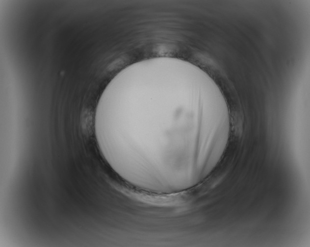 X0000086250036200704191852