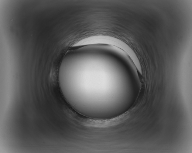 X0000086250037200704191852