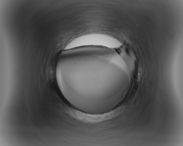 X0000086250039200704191852