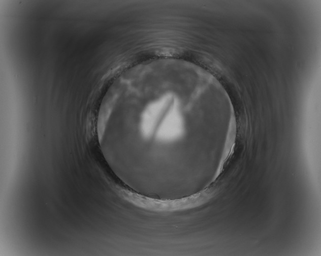 X0000086250043200704191852