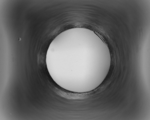 X0000086250044200704191852