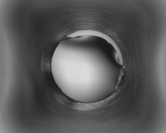 X0000086250045200704191852