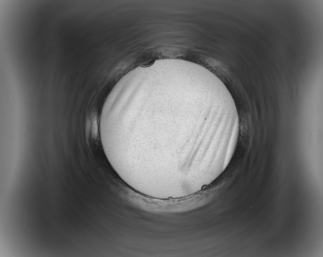 X0000086250046200704191852