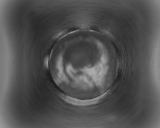 X0000086250047200704191852