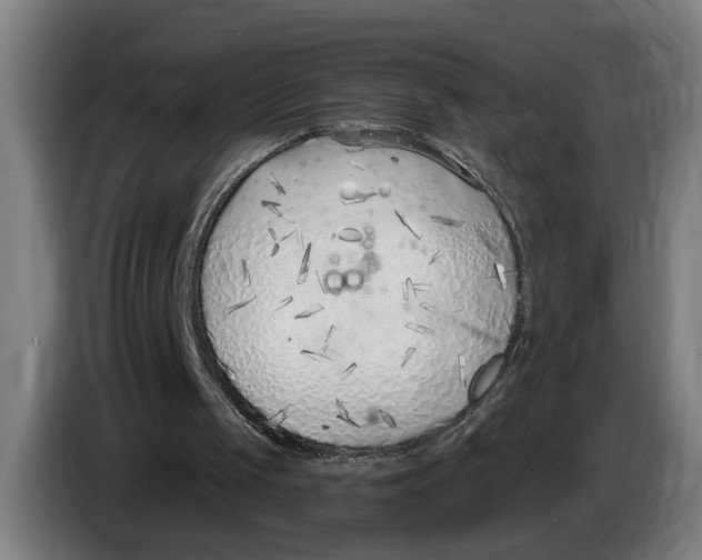 X0000086250049200704191851