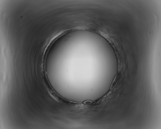 X0000086250050200704191851
