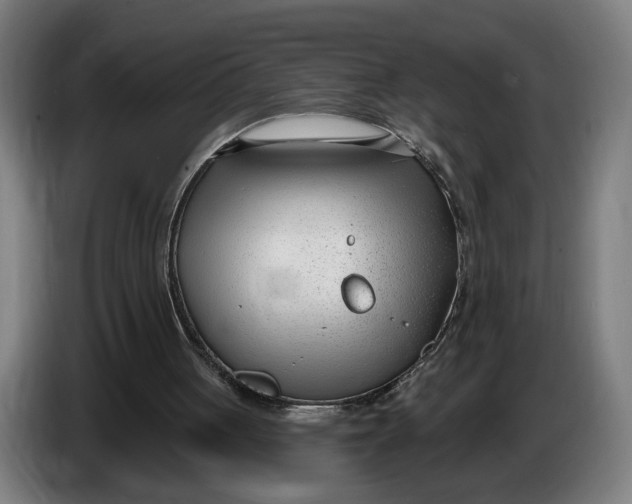 X0000086250051200704191851