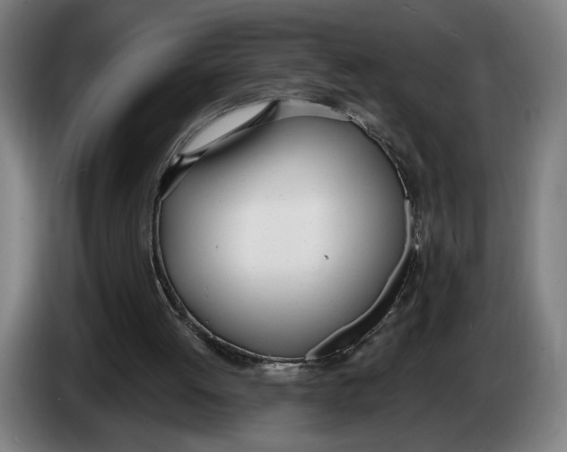 X0000086250052200704191851
