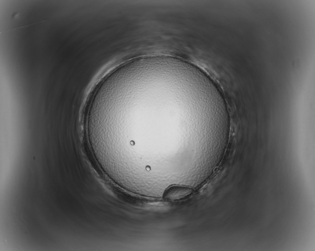 X0000086250053200704191851