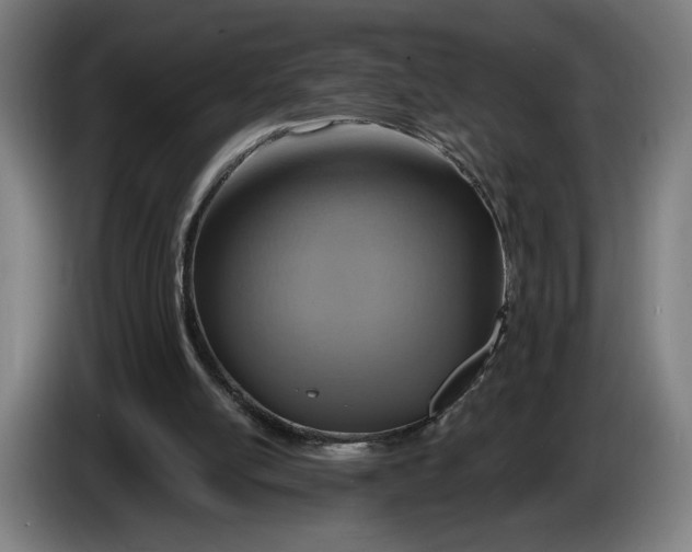 X0000086250054200704191851
