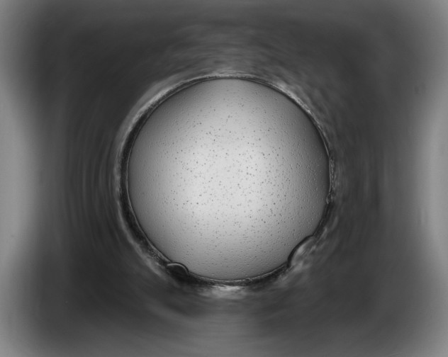 X0000086250055200704191851