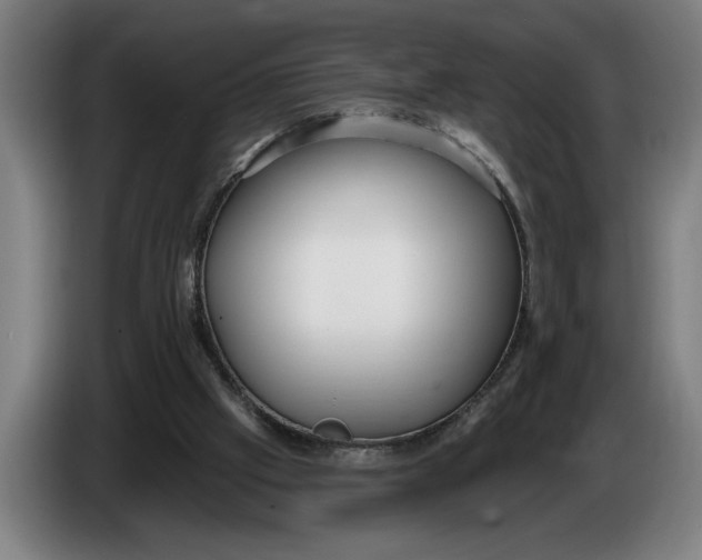 X0000086250057200704191851