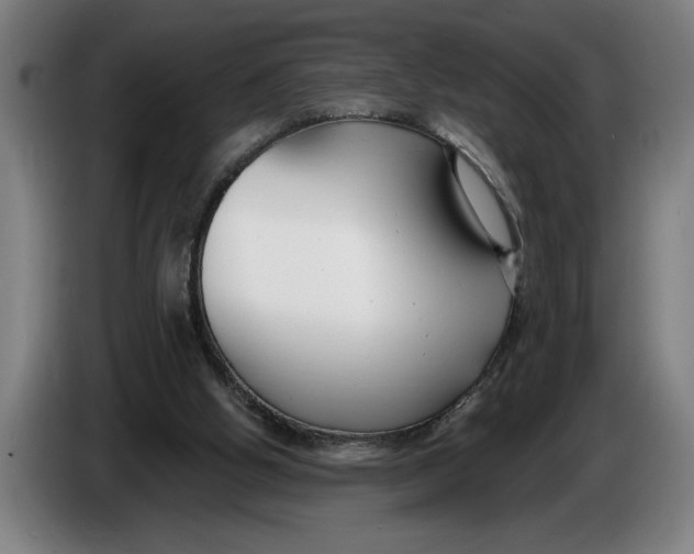 X0000086250058200704191851