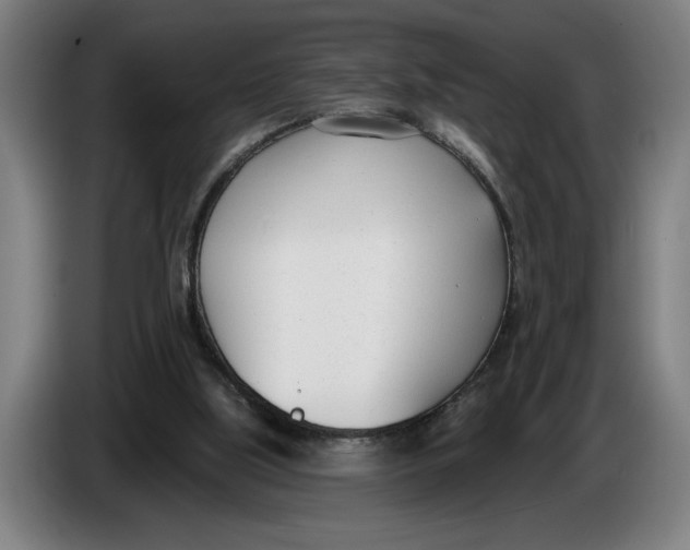 X0000086250059200704191851