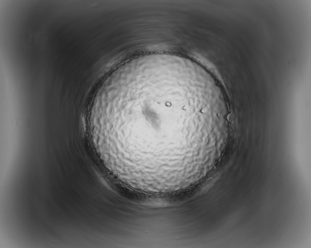X0000086250061200704191851