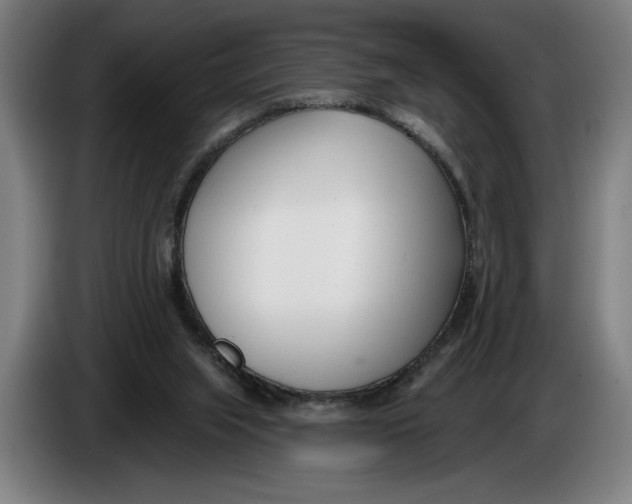 X0000086250063200704191851