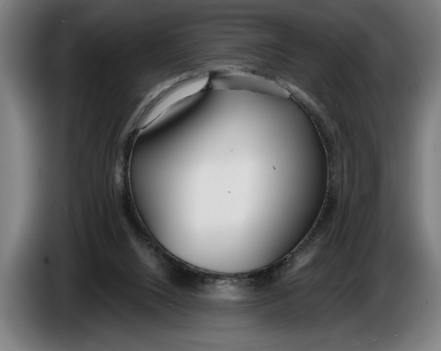 X0000086250064200704191851