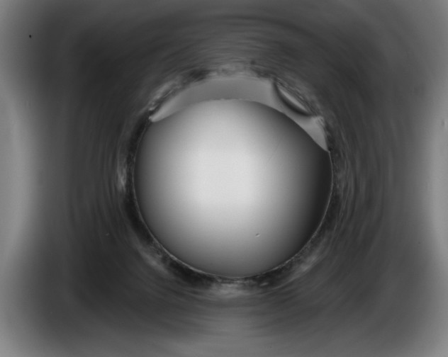X0000086250072200704191851