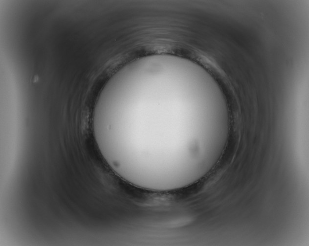 X0000086250073200704191851