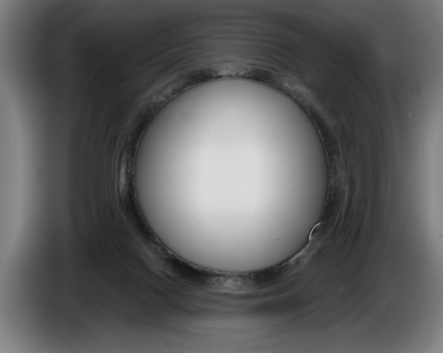 X0000086250074200704191851