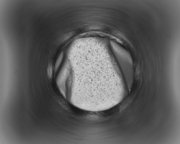 X0000086250076200704191851
