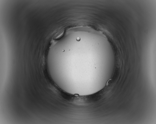 X0000086250077200704191851