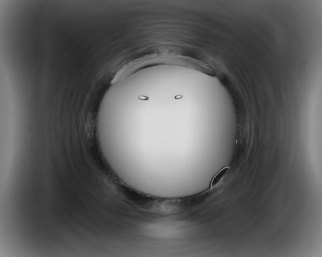 X0000086250078200704191851