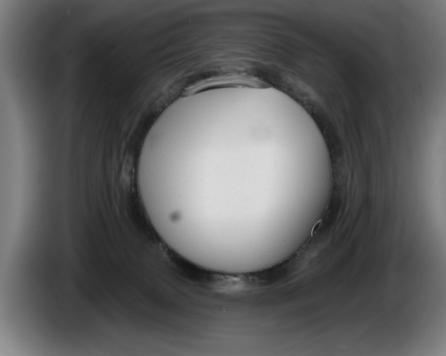 X0000086250083200704191851