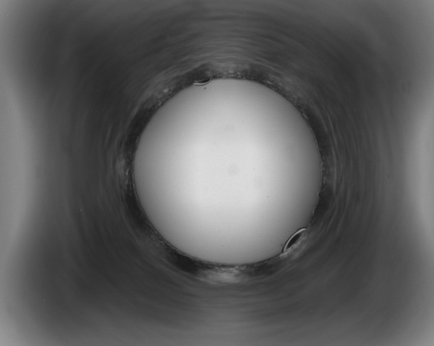 X0000086250086200704191851