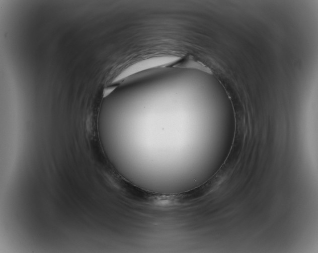 X0000086250088200704191851
