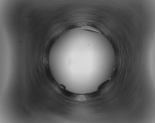 X0000086250091200704191851