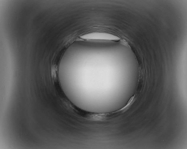 X0000086250094200704191852