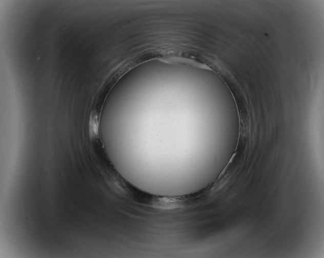 X0000086250095200704191852