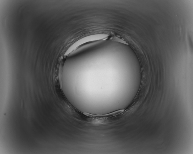 X0000086250096200704191852