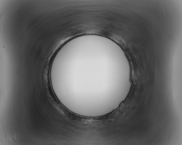 X0000086250098200704191851