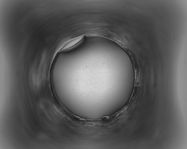 X0000086250099200704191851