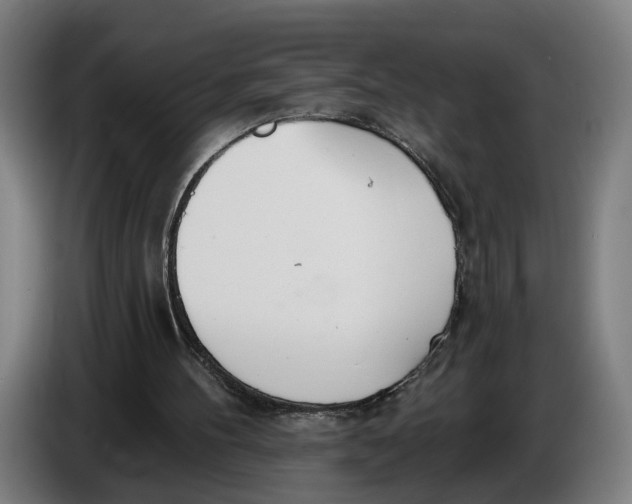 X0000086250100200704191851