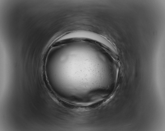 X0000086250101200704191851