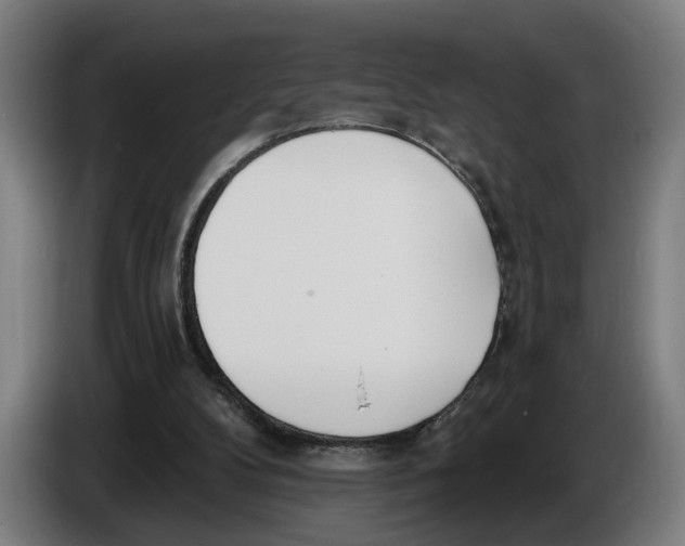 X0000086250104200704191851