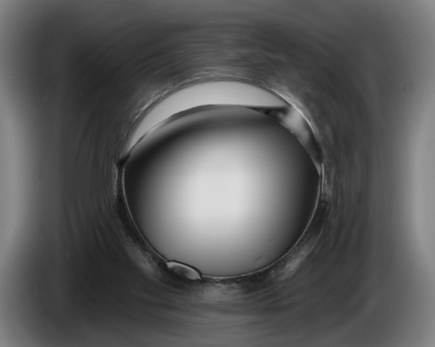 X0000086250109200704191851