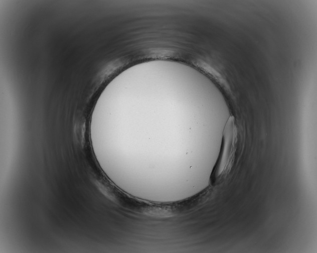 X0000086250110200704191851